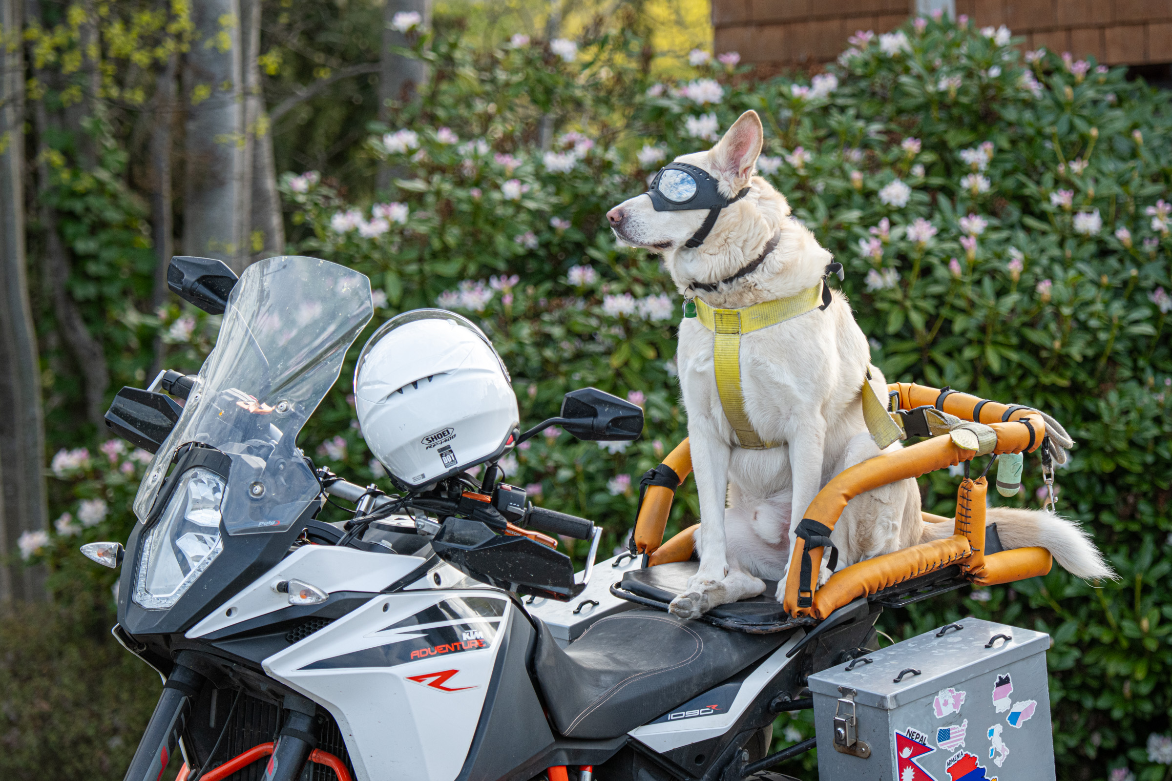 Matheo on motorcycle